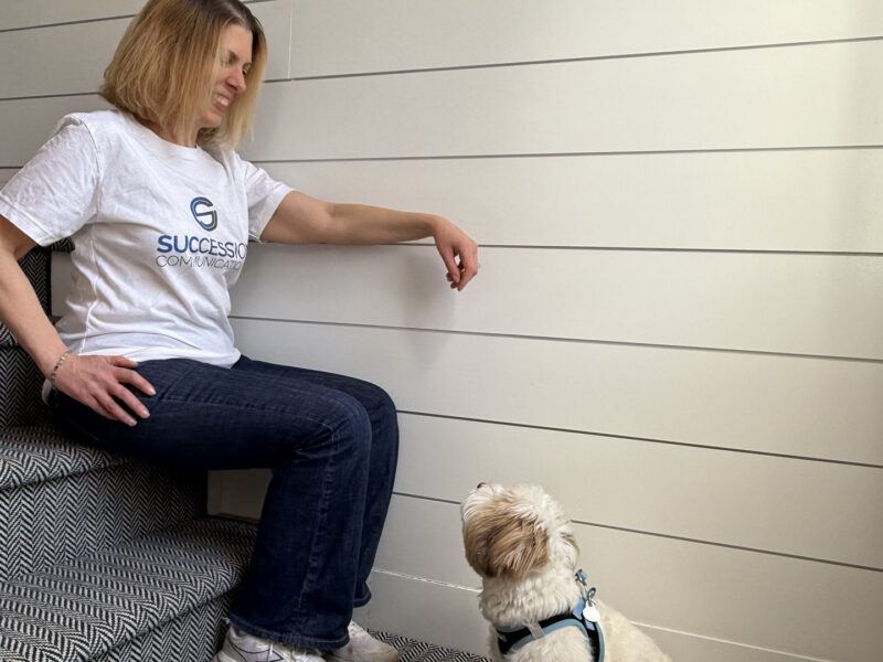 Best In Show: Applying PR Skills to Dog Training